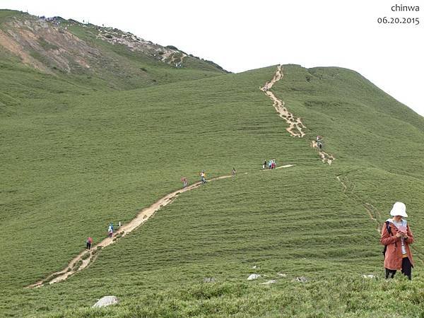 合歡山北峰步道