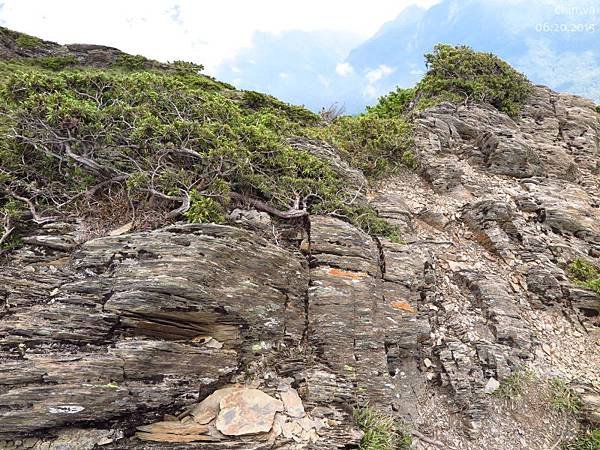 合歡山北峰步道