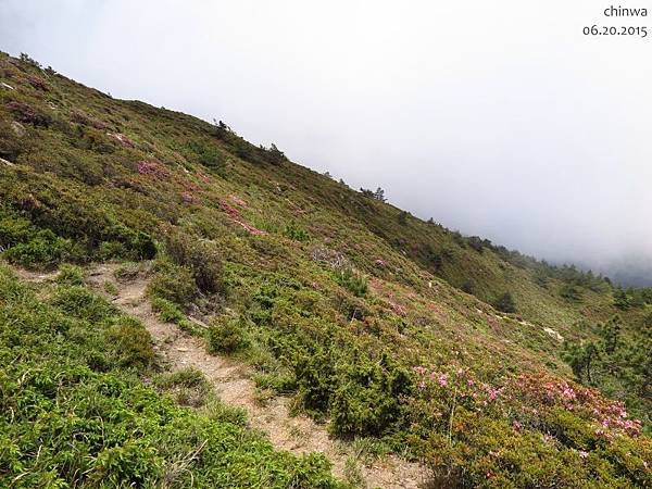 合歡山北峰步道