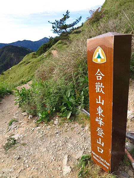 合歡山東峰登山口