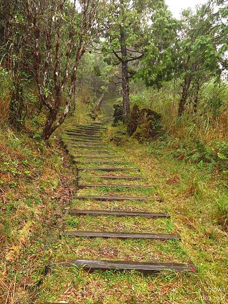 望洋山步道