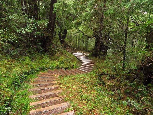 望洋山步道