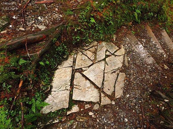 望洋山步道