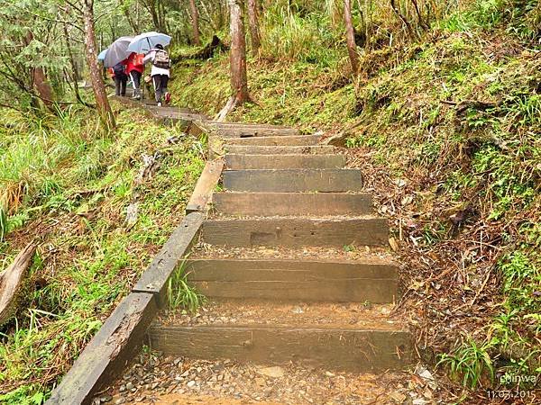 台灣山毛櫸國家步道