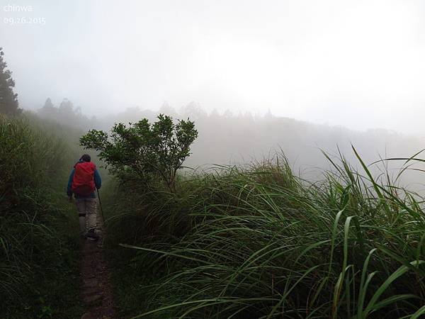 頂山石梯嶺步道