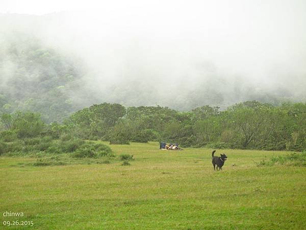 頂山石梯嶺步道