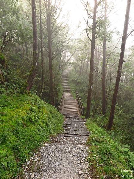 台灣山毛櫸國家步道