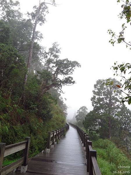 翠峰湖環山步道