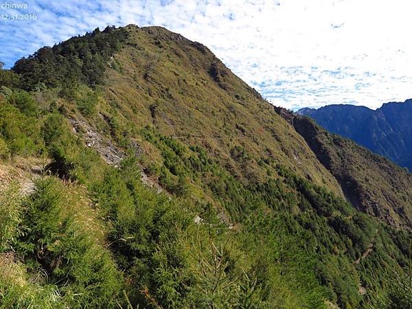 塔塔加鞍部.玉山登山口