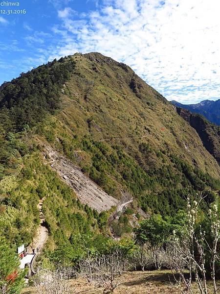 鹿林山區步道.麟趾山