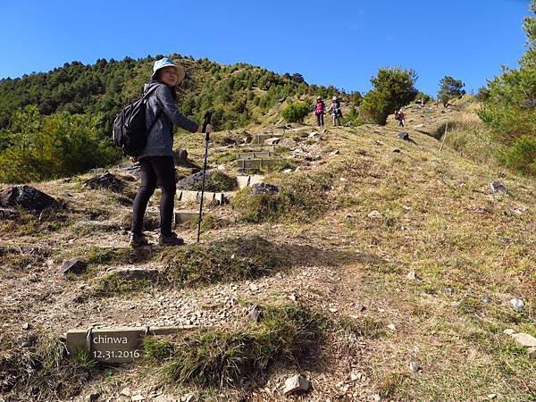 鹿林山區步道.麟趾山