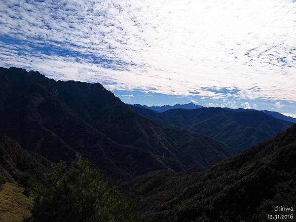 鹿林山區步道.麟趾山