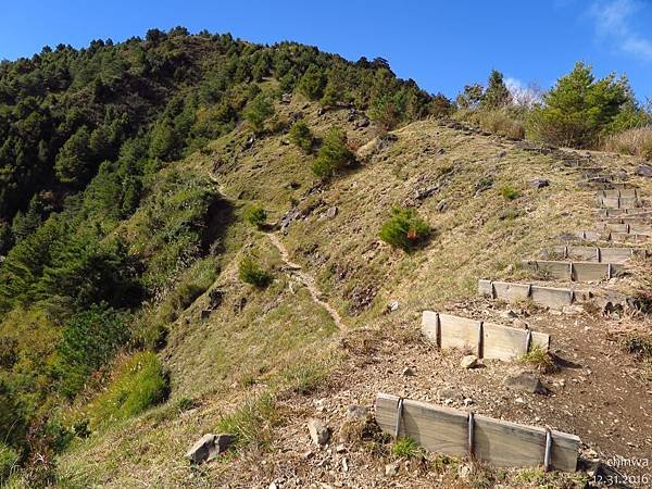 鹿林山區步道.麟趾山