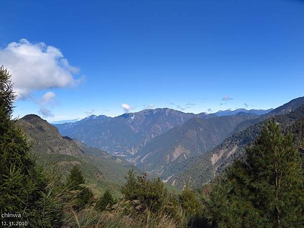 鹿林山區步道.麟趾山