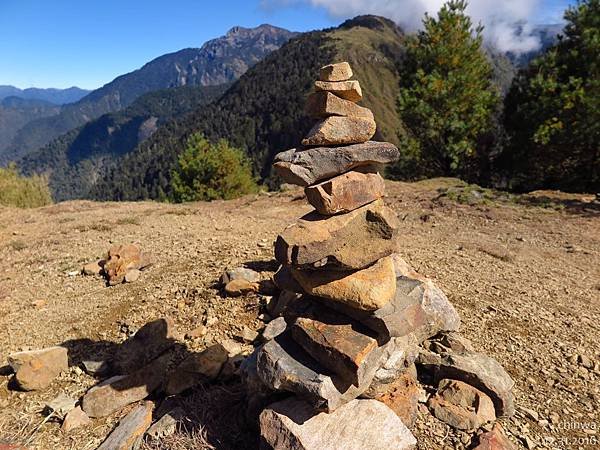 鹿林山區步道.麟趾山