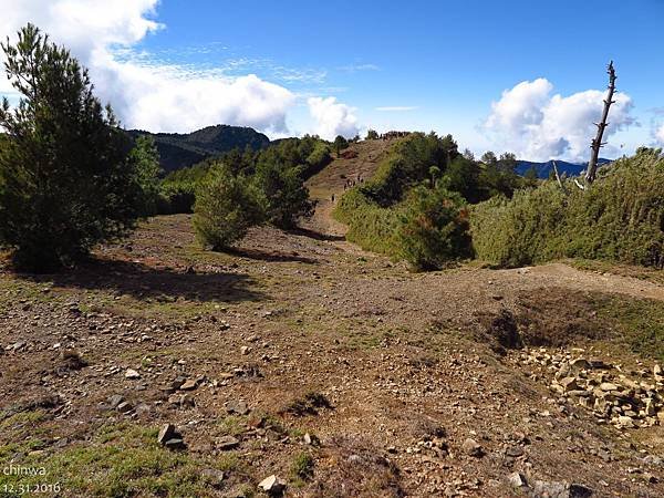 鹿林山區步道.麟趾山