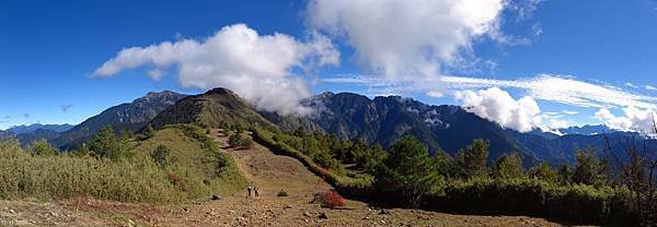 鹿林山區步道.麟趾山