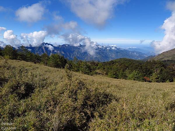 鹿林山區步道.麟趾山