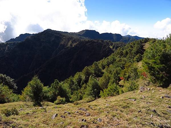 鹿林山區步道.麟趾山