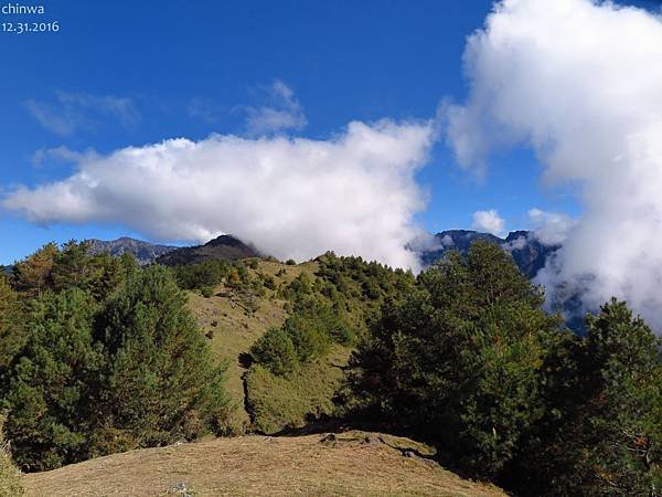 鹿林山區步道.麟趾山