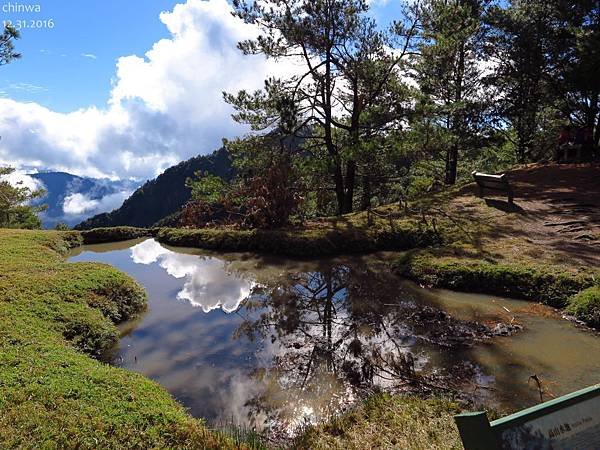 鹿林山區步道.麟趾山