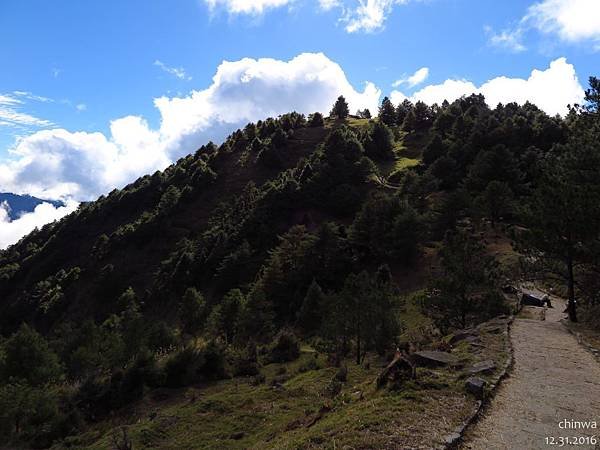 鹿林山區步道.麟趾山鞍部