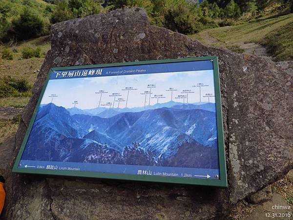 鹿林山區步道.麟趾山鞍部