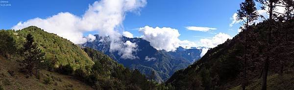 鹿林山區步道.麟趾山鞍部