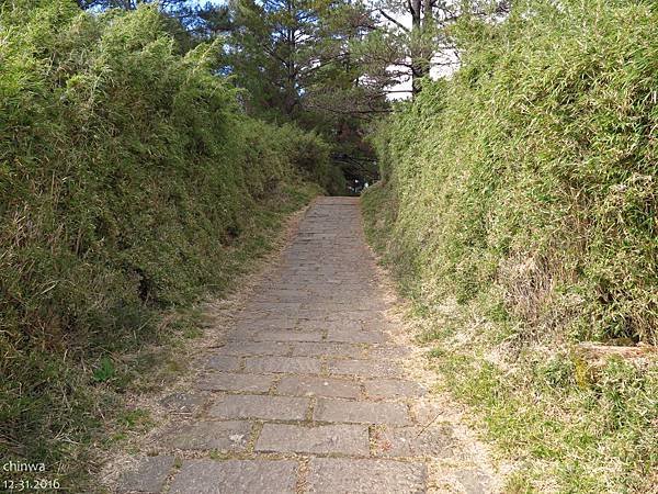 鹿林山區步道.麟趾山鞍部