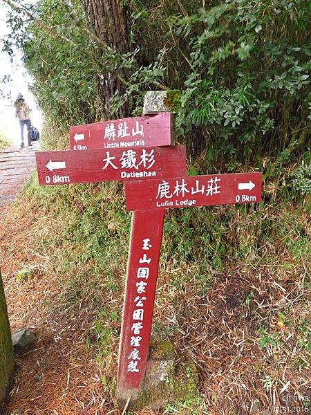 玉山林道.麟趾山口