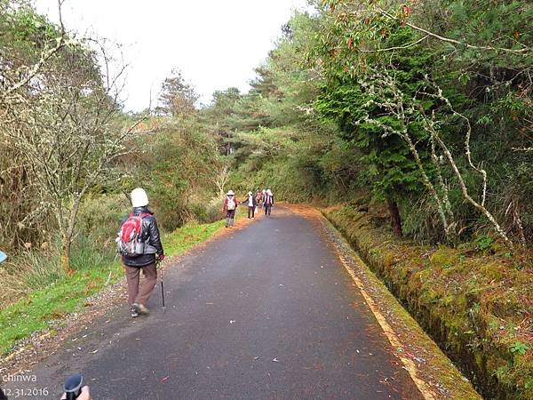 玉山林道