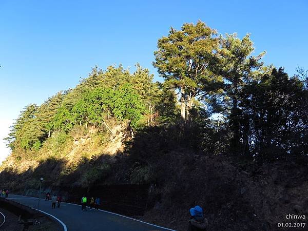 阿里山.祝山林道