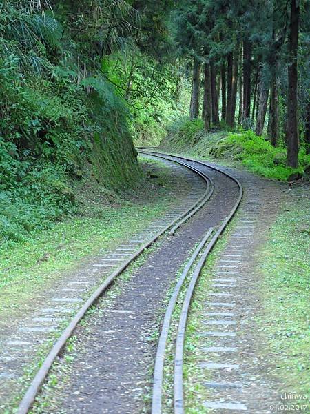 阿里山.水山線步道