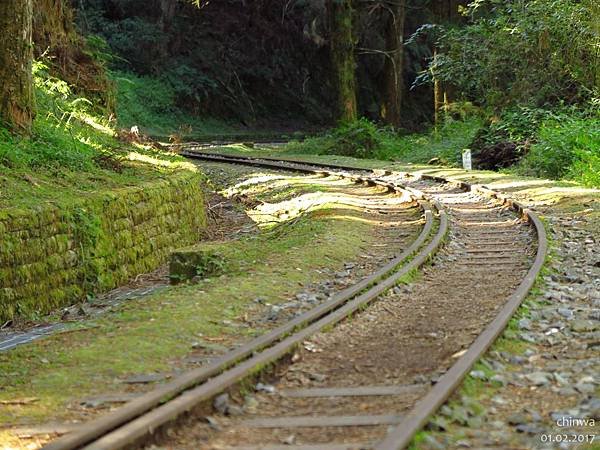 阿里山.水山線步道