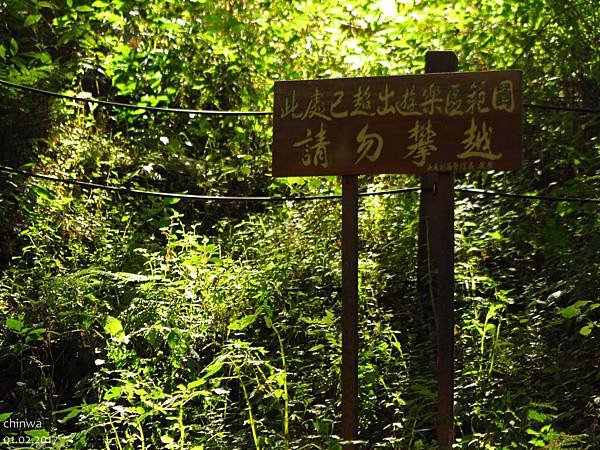 阿里山.水山線步道