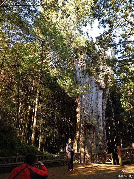 阿里山.水山線步道