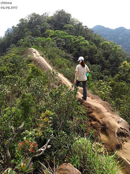 皇帝殿步道.天王峰