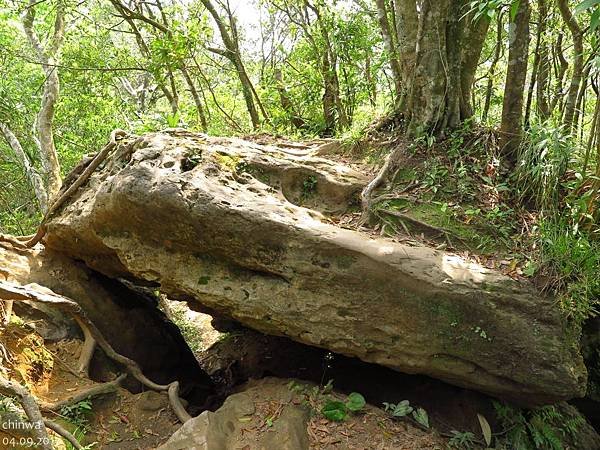 皇帝殿步道