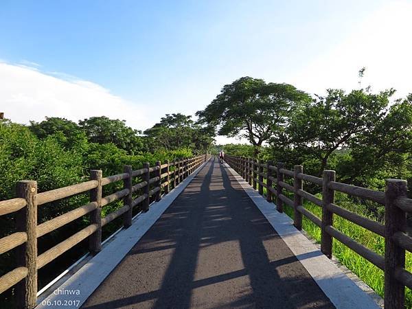 十七公里海岸線.紅樹林