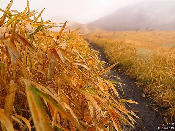 由布岳登山口