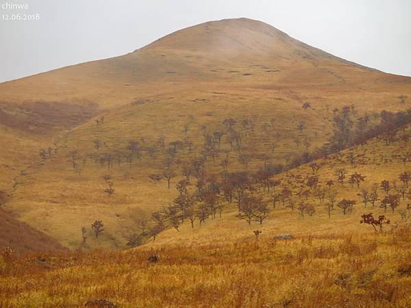 由布岳登山口