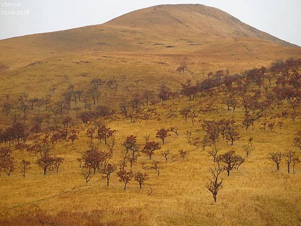 由布岳登山口