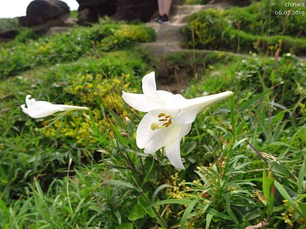 瑞芳.深澳岬角