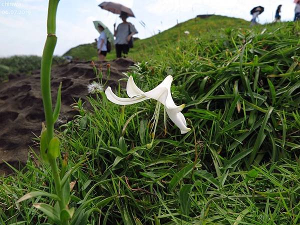 瑞芳.深澳岬角