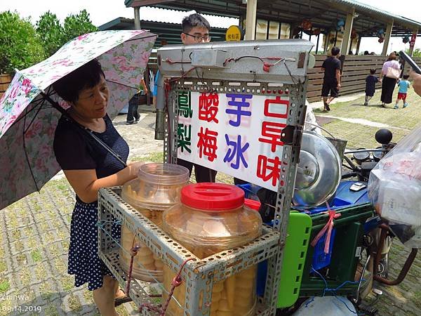 四草.台江濕地