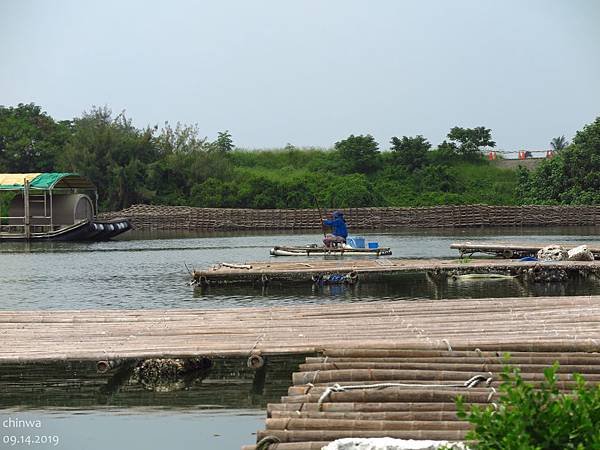 四草.台江濕地