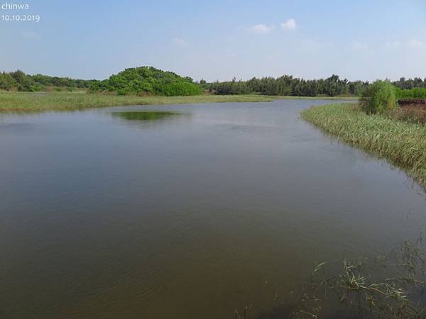 鰲鼓濕地