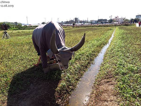 楊梅.休閒農業區