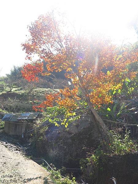 馬那邦山.珠湖登山口