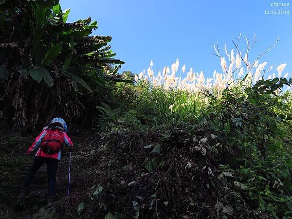 馬那邦山.珠湖線